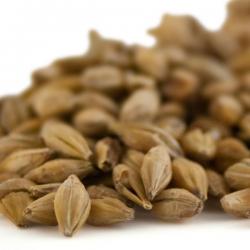 Weyermann® Acid Malt