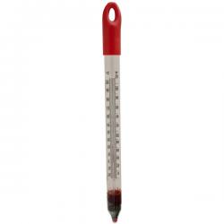 Floating Thermometer