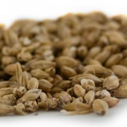 Briess 2-Row Malt