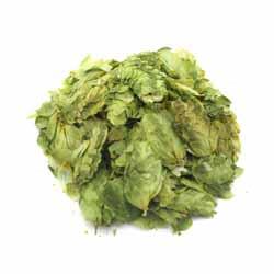 East Kent Goldings Leaf Hops (UK)